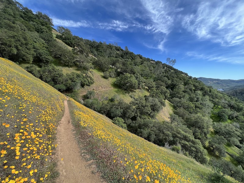 Moore Creek Park photo 4