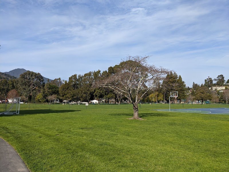 Photo of Corte Madera Town Park