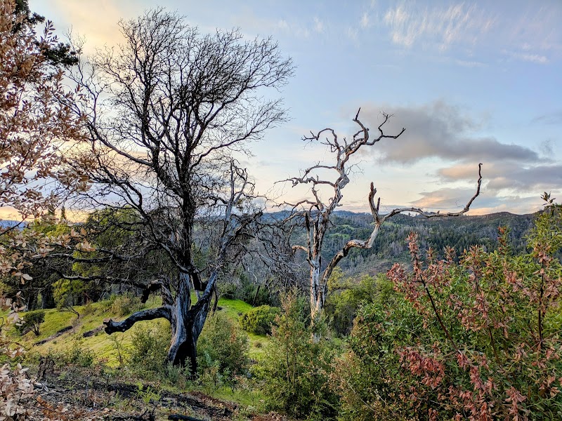 Sunset Viewpoint photo 5
