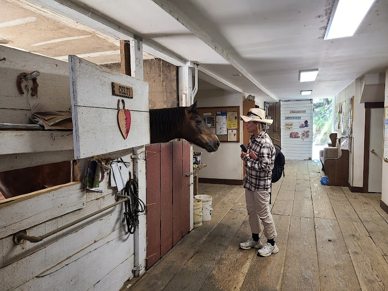 Photo of Marin Stables