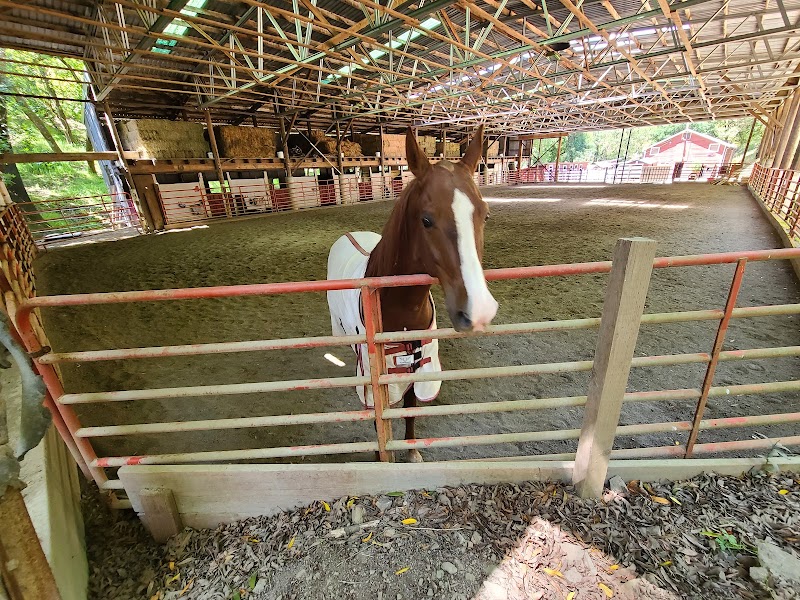 Marin Stables photo 2