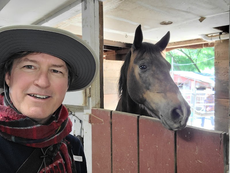 Marin Stables photo 4