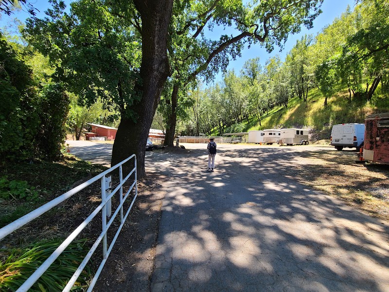 Marin Stables photo 3