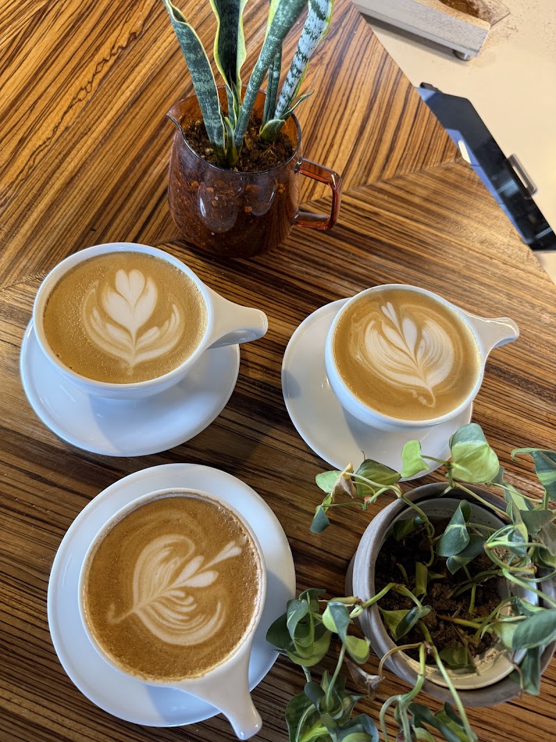 Sagebrush Coffee Shop & Roastery photo 4