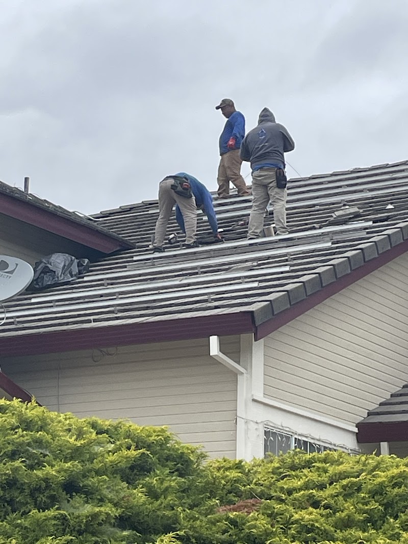 TSP Roofing and Solar photo 3