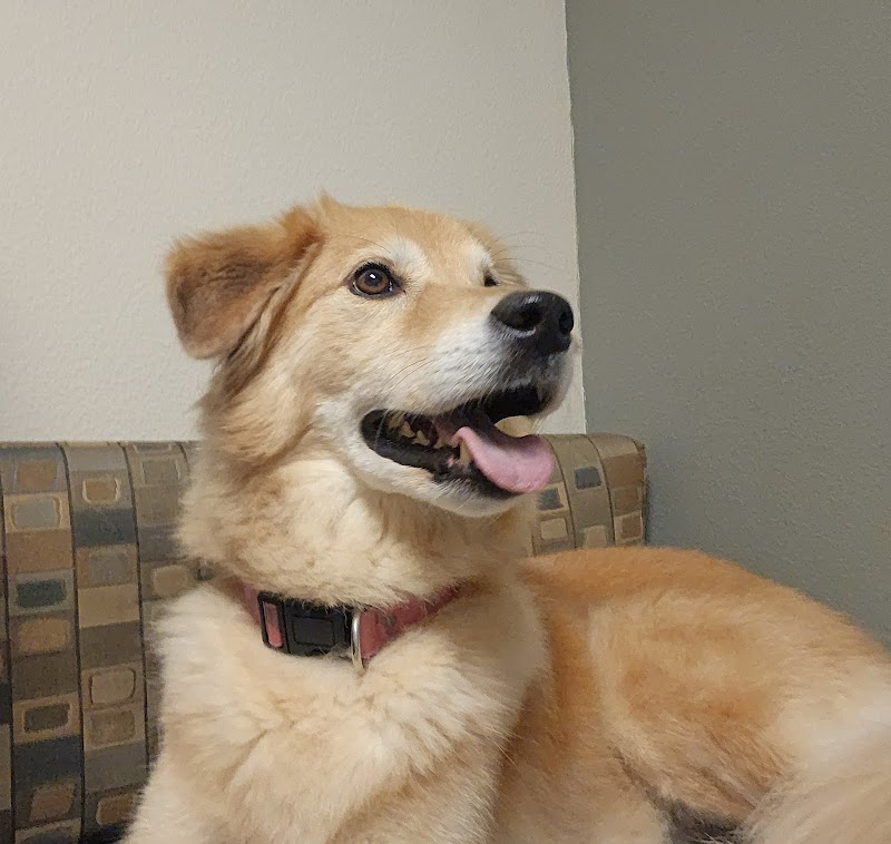 Alafia River Animal Hospital photo 2