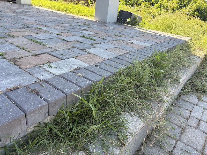 Photo of Semper Grind LLC