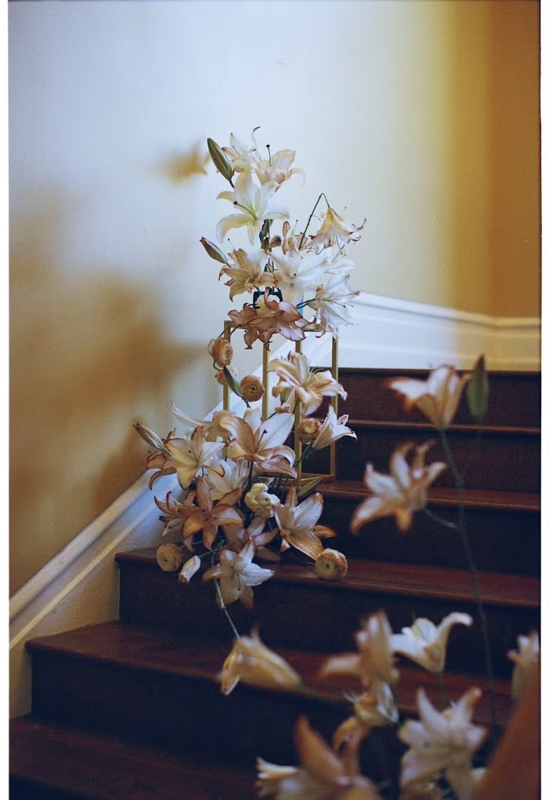 Uni Floral photo 3