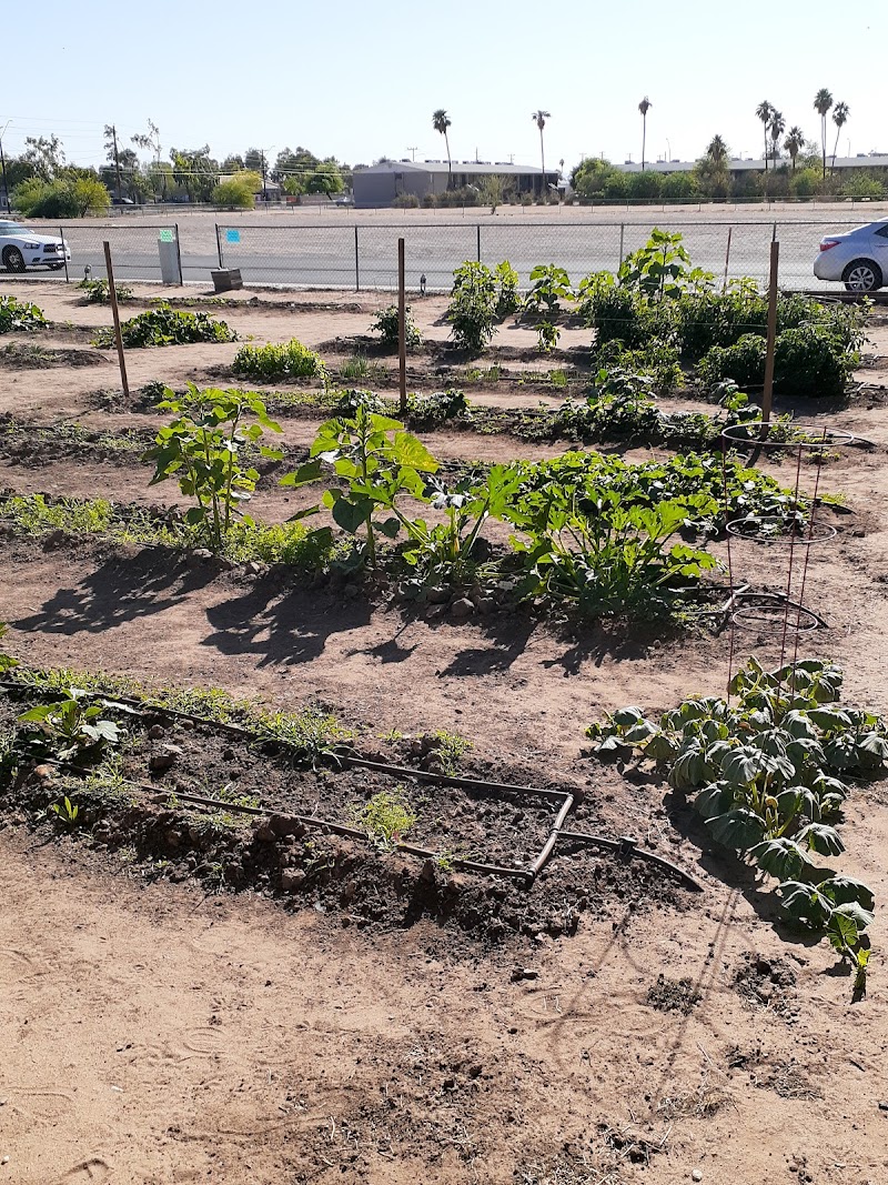 Seeds of Hope photo 4