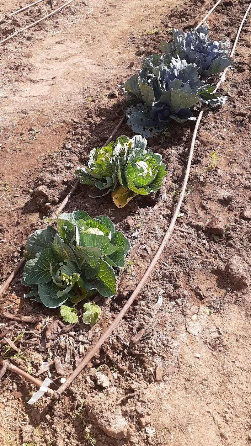 Seeds of Hope photo 2