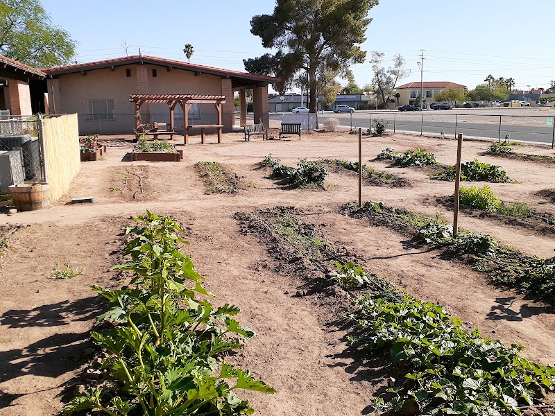 Photo of Seeds of Hope