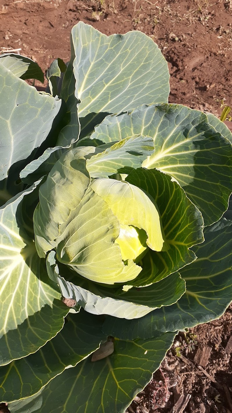 Seeds of Hope photo 5
