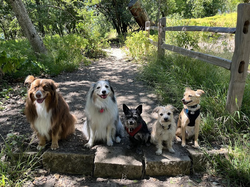Doggy Lama Pet Care photo 2