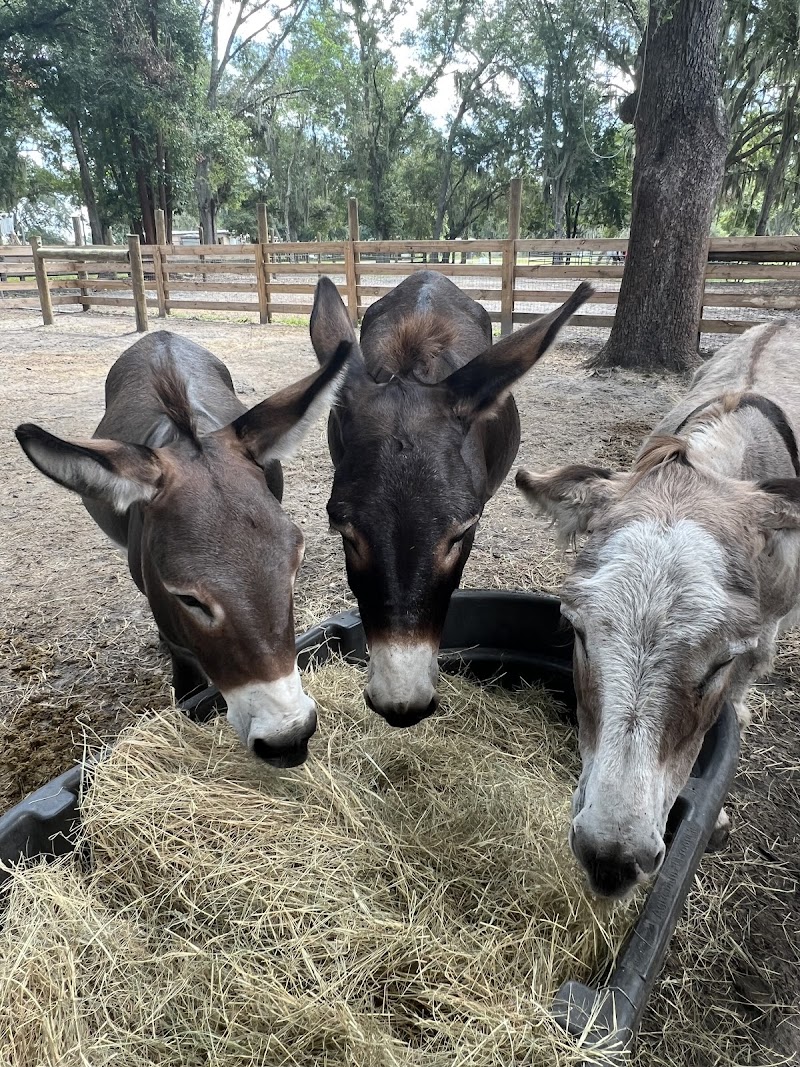 Photo of Cardinal Ranch
