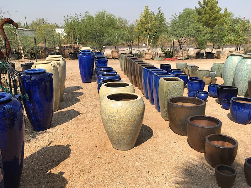 Desert Foothills Gardens Nursery Inc. photo 3