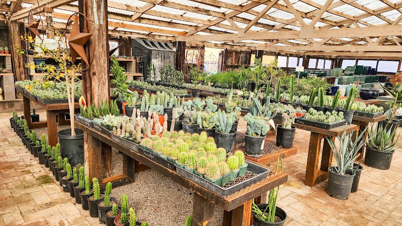 Desert Foothills Gardens Nursery Inc. photo 4