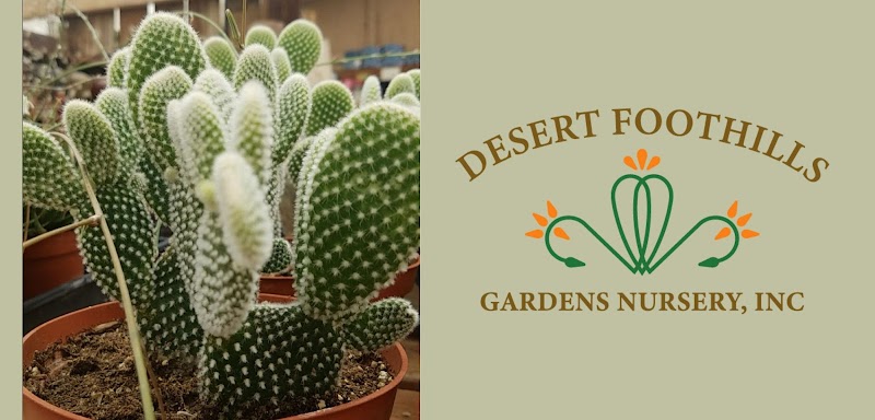 Desert Foothills Gardens Nursery Inc. photo 2