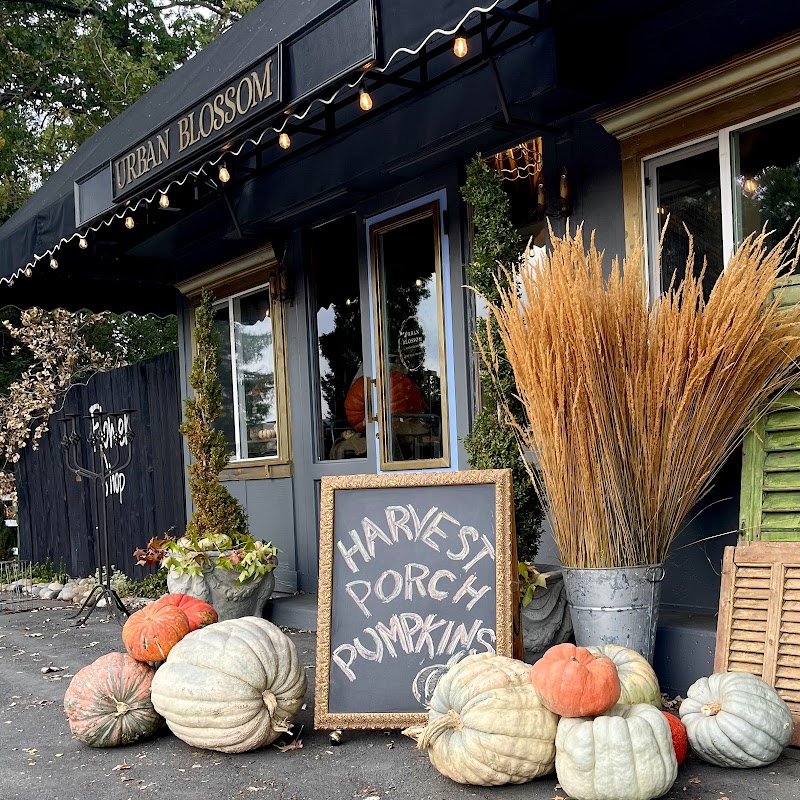 Photo of Urban Blossom And Decor