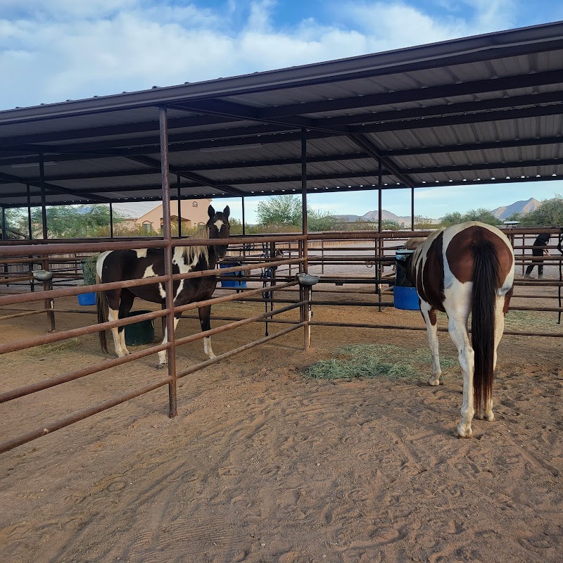 Whiskey Ridge Stables photo 2