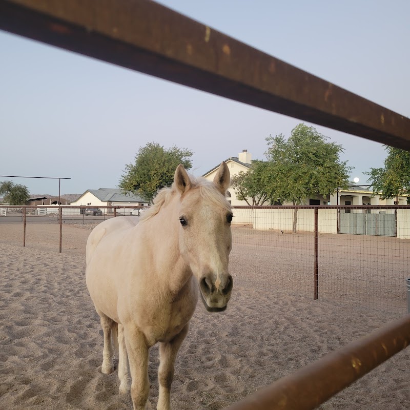 Whiskey Ridge Stables photo 4