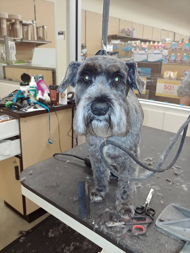 Petco photo 5
