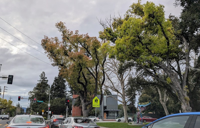 Palo Alto Fire Station 3 photo 5