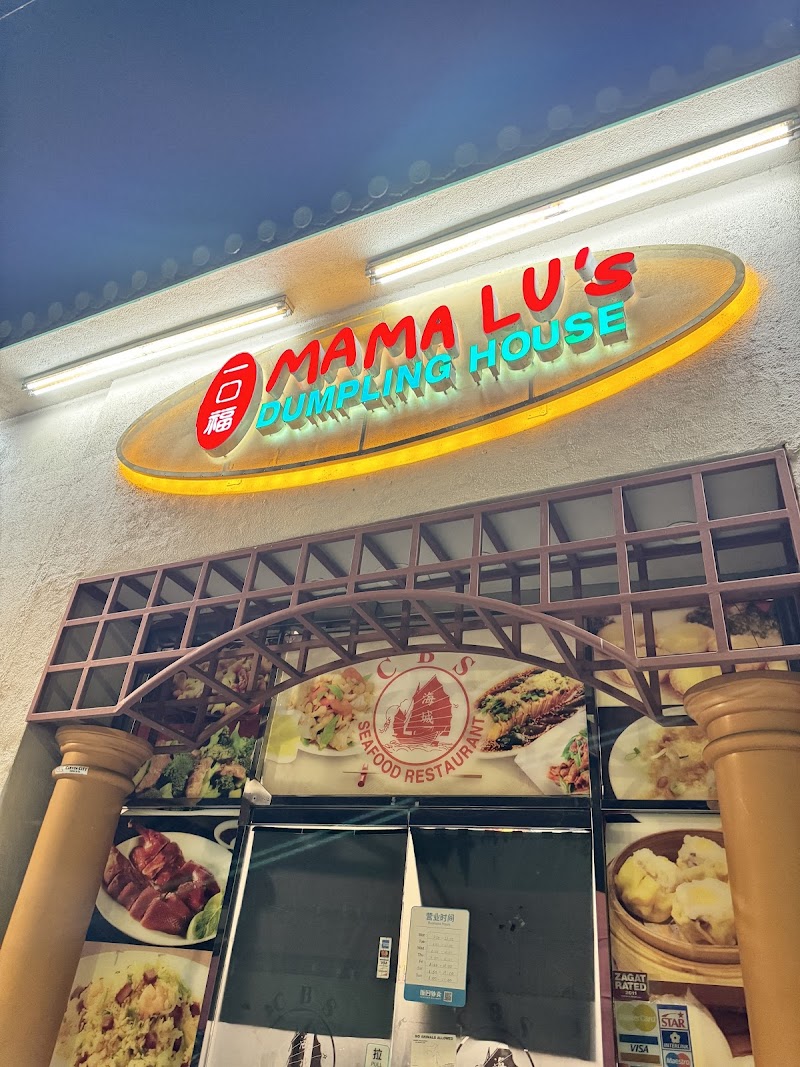 Mama Lu's Dumpling House photo 5