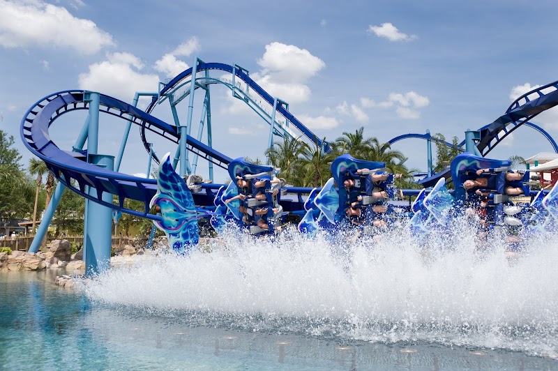 Photo of Manta