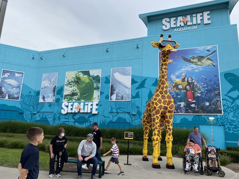 SEA LIFE Michigan Aquarium photo 5