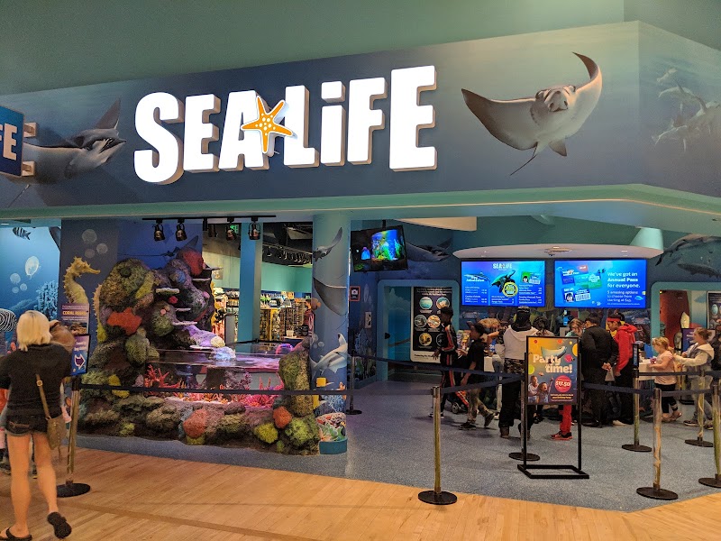 SEA LIFE Michigan Aquarium photo 3