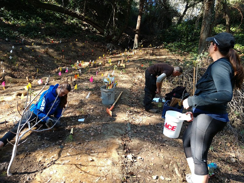 Photo of Friends of Sausal Creek Native Plant Demonstration Garden