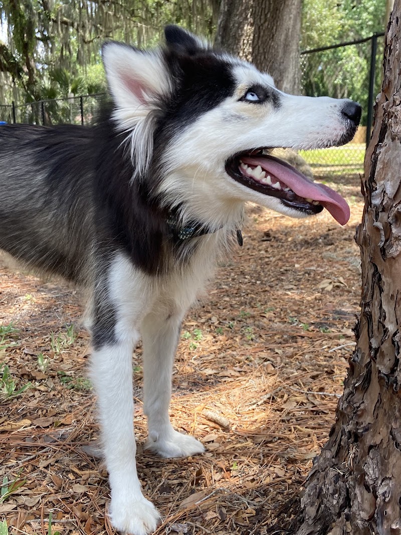 Plant City Dog Park photo 2
