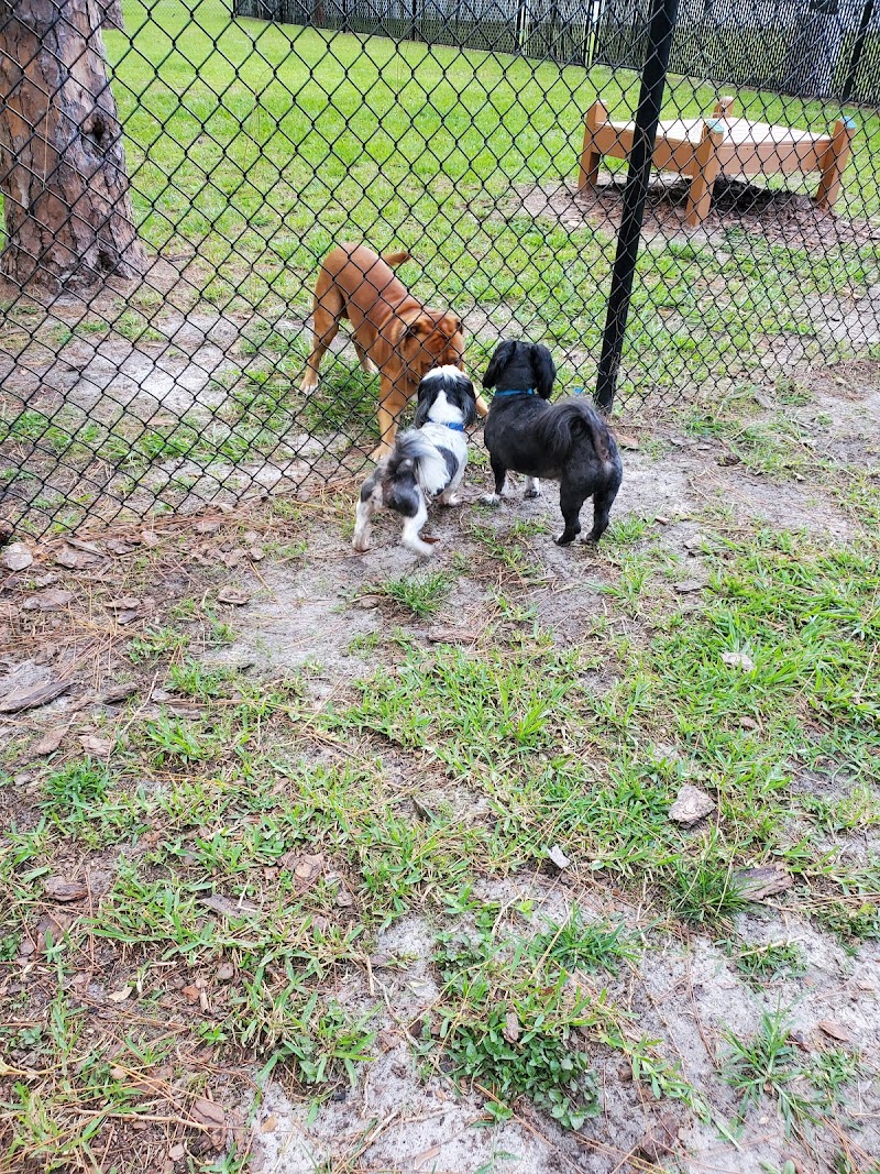 Plant City Dog Park photo 5
