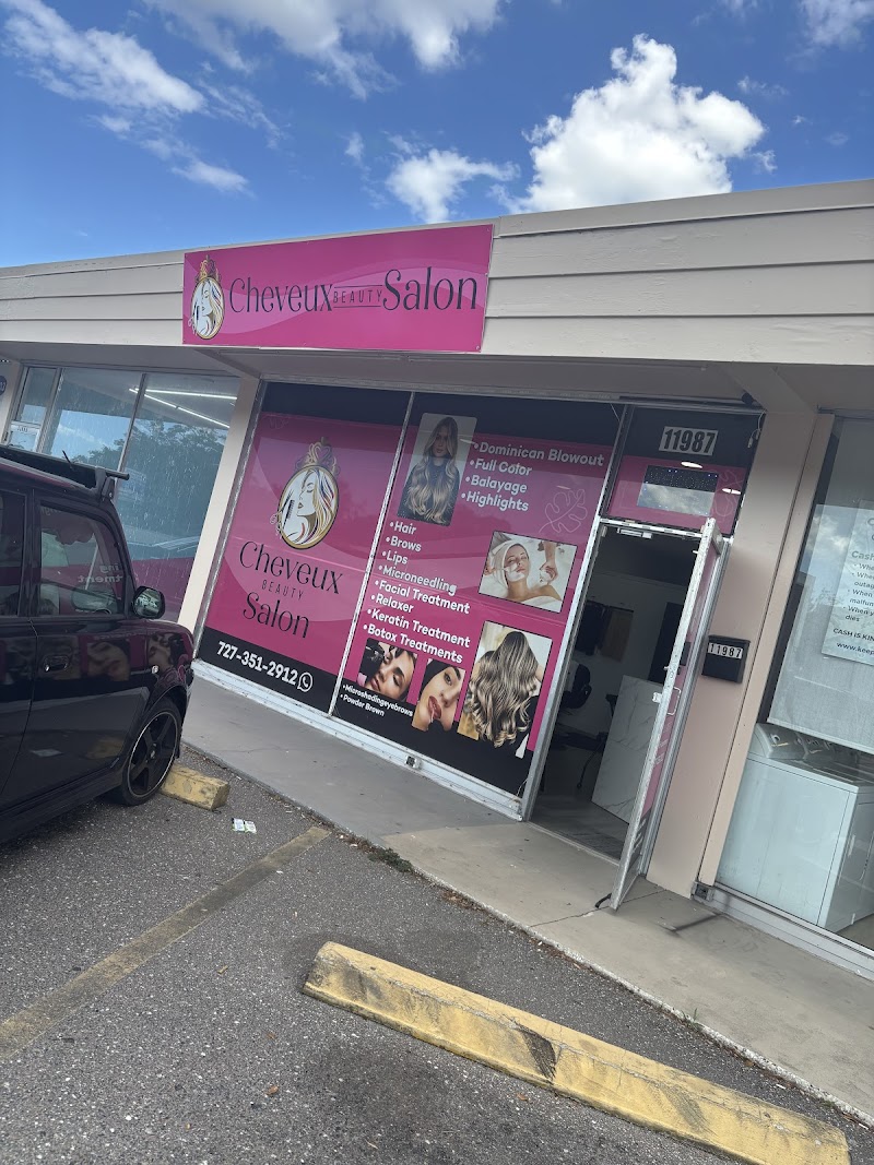 Cheveux Beauty Salon LLC Largo, FL photo 5