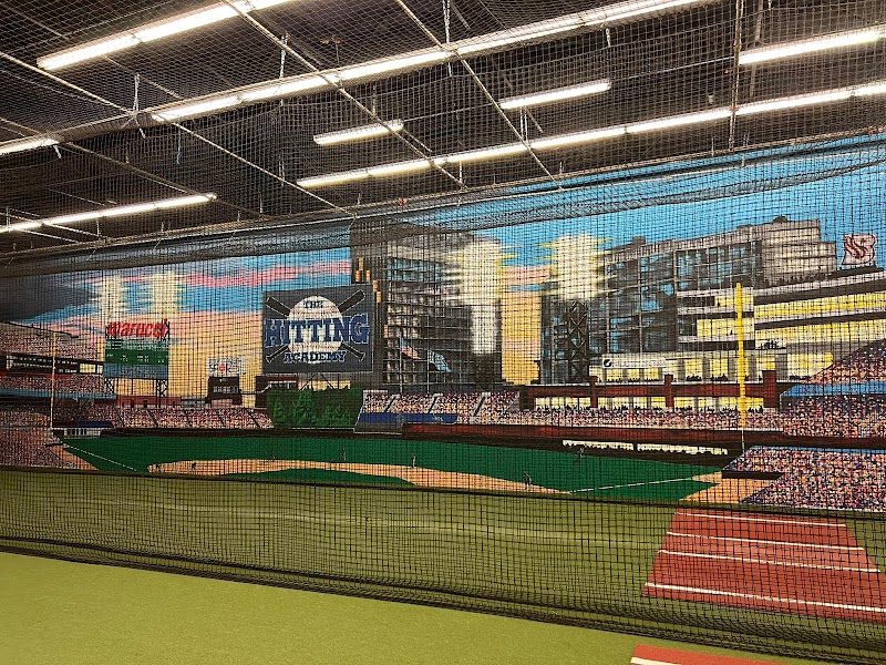 The Hitting Academy Brandon photo 4