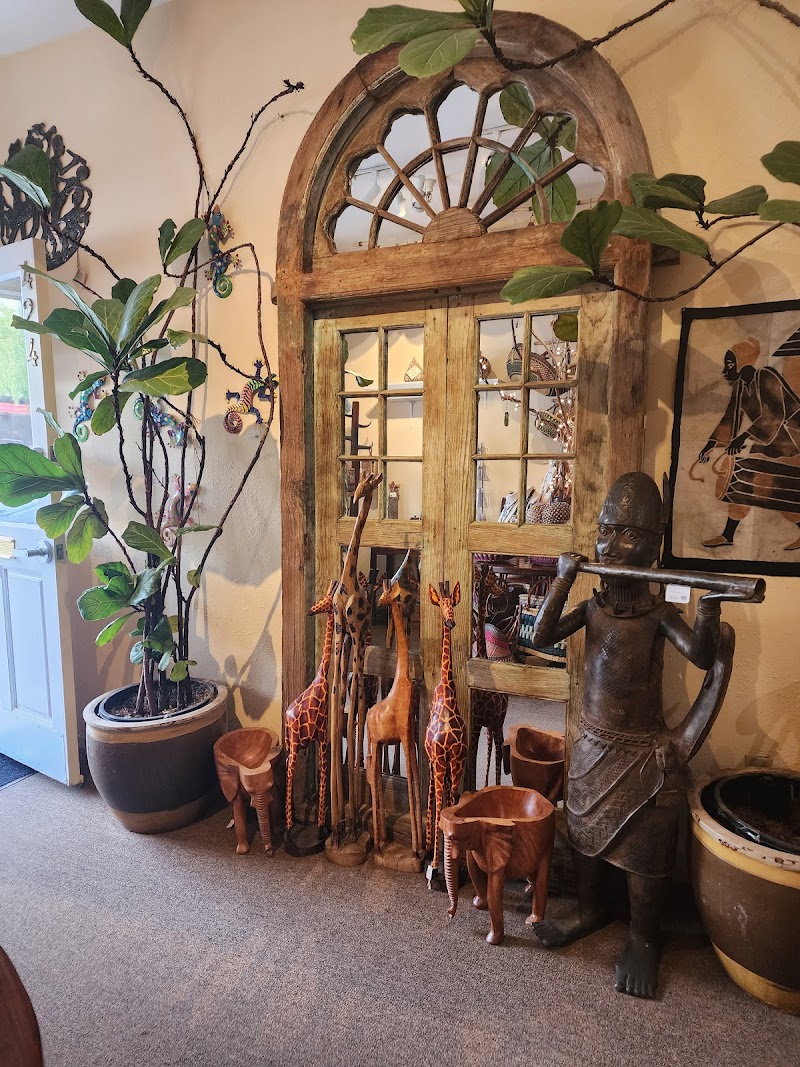 Jungletraders photo 4