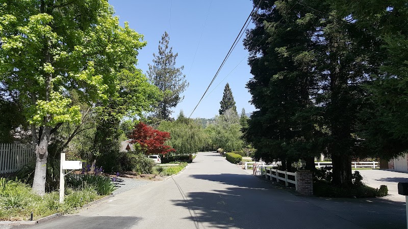 Shady Lane Farm photo 2