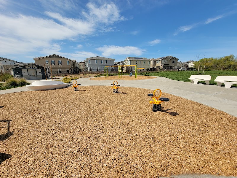 Clover Park photo 5