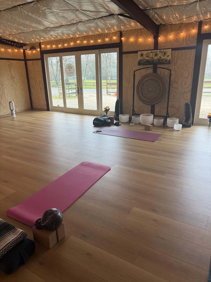 Photo of Wild Oak Wellness at Manka's Corner