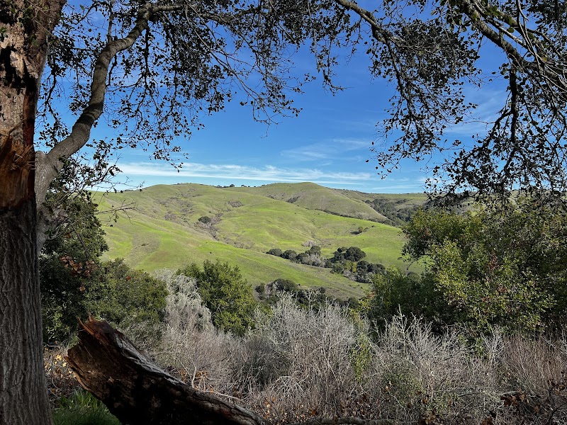 Alvarado Park photo 2