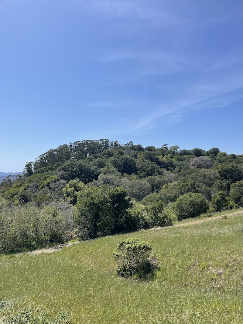 Photo of Alvarado Park