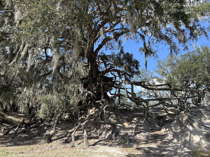 Photo of Edward Medard Conservation Park