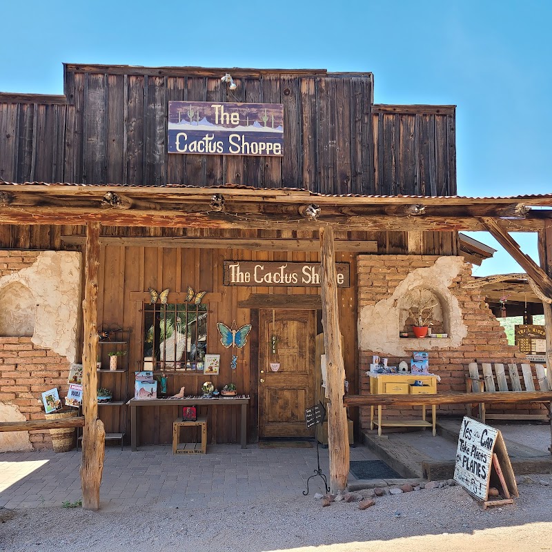 The Cactus Shoppe photo 4