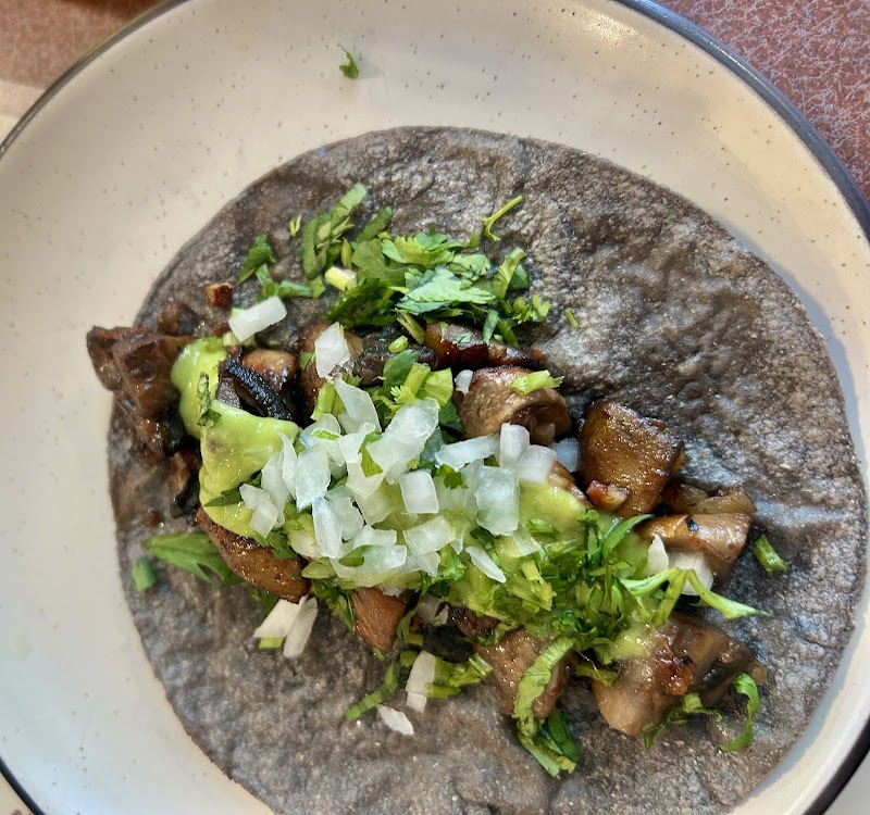 Quiote photo 4