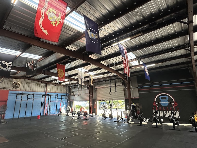 Palm Harbor Athletics photo 3