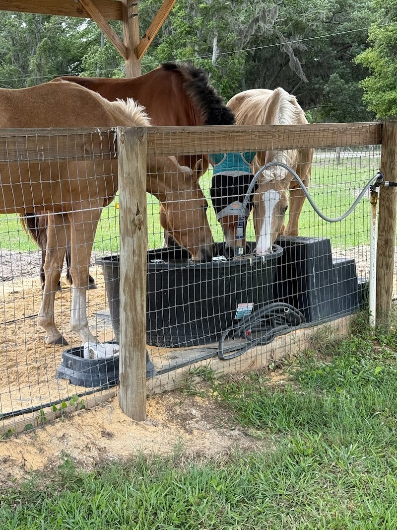 Photo of Serenity Oaks Equestrian Center LLC