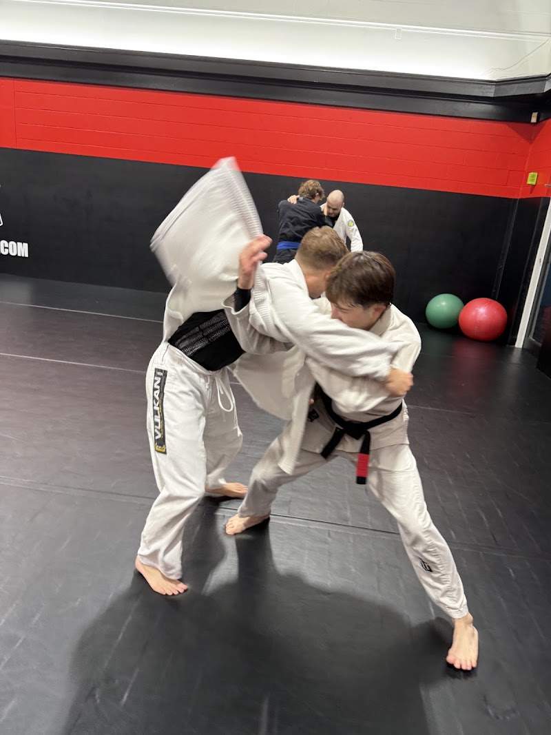 Indomitus Brazilian Jiu Jitsu photo 3