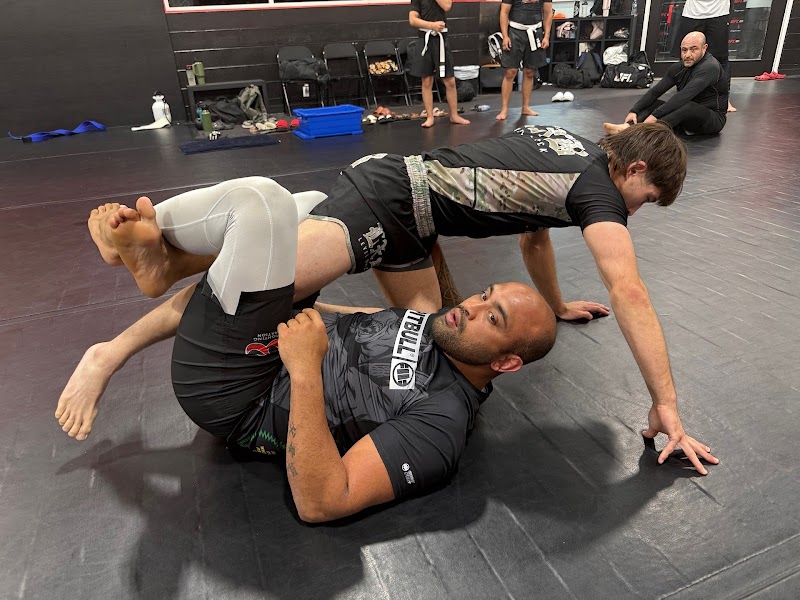 Indomitus Brazilian Jiu Jitsu photo 2