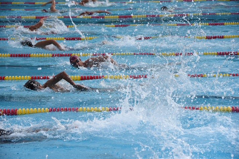 Cupertino High School Swimming Pool photo 3