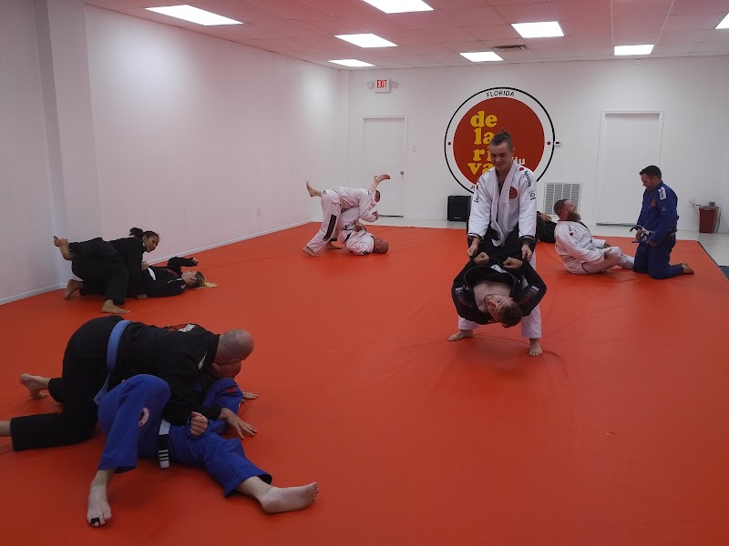 De La Riva BJJ photo 2